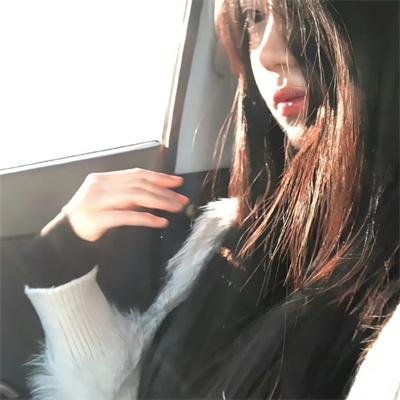 陆行鲨